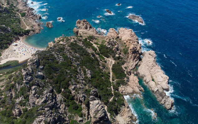 Corbezzolo - Photo 27