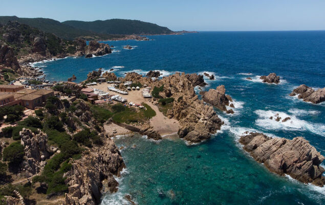 Corbezzolo - Photo 28