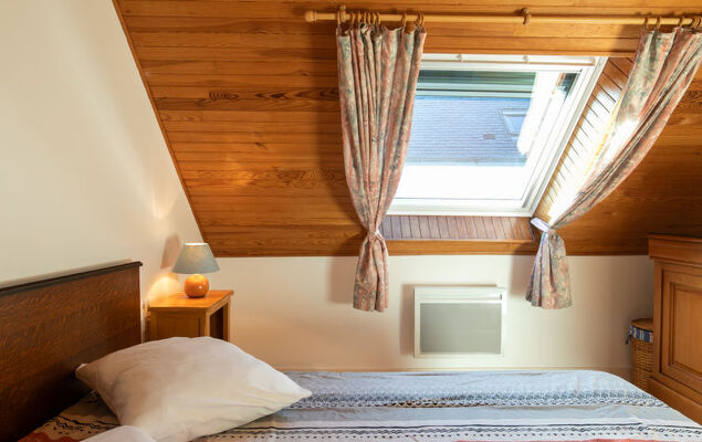 Ty Pendruc - Photo 11