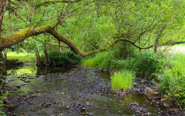 La Rochette - Photo 16