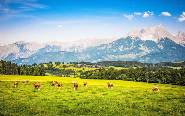 Hanserbauer - Photo 43