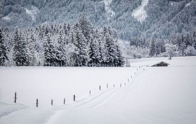 Hanserbauer - Photo 47